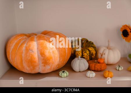 Farbenfrohe Herbstkürbisse im Regal mit sanftem Licht und gemütlicher saisonaler Atmosphäre Stockfoto