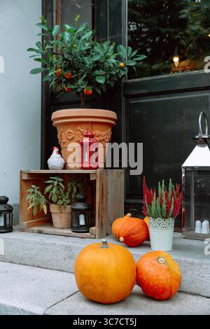 Dekoratives Herbststillleben mit Zitrusbaum, Kürbissen und Windlichtern vor dunkler Tür. Stockfoto