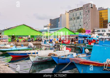 Männlich, Malediven, 18.02.21. Männlicher Nordhafen mit farbenfrohen Fischerbooten und kleinen Frachtschiffen, lokalem Marktgebäude und männlichen Stadtgebäuden. Stockfoto