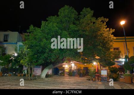 Nachtwanderung in den Gassen von Guanajuato. Mexiko Stockfoto