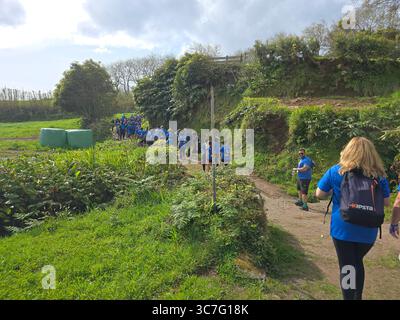 Teilnehmer laufen und wandern auf üppigen Waldwegen und historischen Straßen während des Trail Real Priolo Events auf der Insel São Miguel, Azoren, Stockfoto
