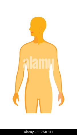 Illustration der menschlichen Körpersilhouette auf weißem Hintergrund Stock Vektor