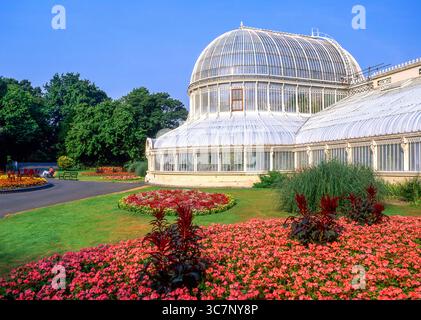 Das Palmenhaus, Belfast botanischen Gärten, Botanic Avenue, Belfast, Grafschaft Antrim, Nordirland, Vereinigtes Königreich Stockfoto