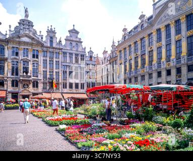 Blumenmarkt im Freien, Grote Markt, Bruxelles-Ville, Stadt Brüssel (Bruxelles), Region Brüssel-Hauptstadt, Königreich Belgien Stockfoto