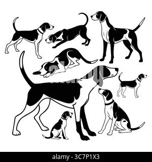 Sammlung von American Foxhound Beagle Silhouetten in verschiedenen Posen auf weißem Hintergrund Stock Vektor