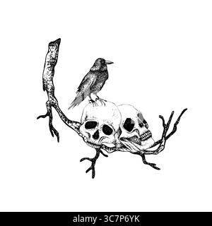 Schwarze Krähe auf menschlichen Schädeln, trockener Zweig. Grafische Vektordarstellung. Handgezeichneter gotischer Stil, esoterisch. Raven am Zweig für Halloween, Freitag, den 13 Stock Vektor