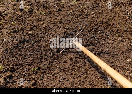 Gartengeräte werden bei der Bodenbearbeitung auf dem Feld, alter Rechen mit Holzgriff bei landwirtschaftlichen Arbeiten Stockfoto