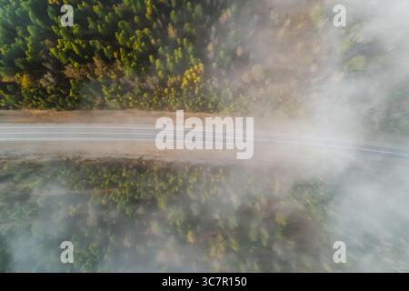Von oben nach unten erhebt sich ein Blick auf eine kurvenreiche Straße durch einen dichten Wald, der teilweise von weichem Morgennebel verdeckt ist. Stockfoto