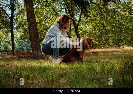 Englischer Cocker Spaniel läuft mit Besitzer im Park Stockfoto