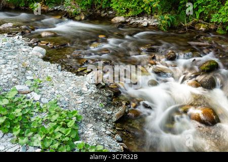 Eine lange Belichtung fängt die seidenweiche Bewegung eines Gebirgsbaches ein, der über Felsen und Steine stürzt Stockfoto