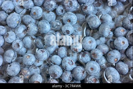 Nahaufnahme von frischen Heidelbeeren, selektiver Fokus. Stockfoto