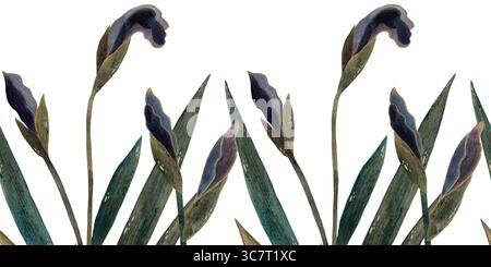 Nahtloser Aquarellrand mit lila Irisknospen und Blättern auf weißem Hintergrund. Zart und elegant, perfekt für Blumenmotive und Frühlingsmotive Stockfoto