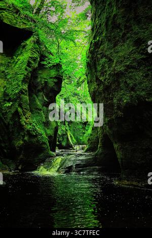 Ein atemberaubender Blick auf eine schmale, moosbedeckte Schlucht mit üppig grünem Laub darüber und dunklem, reflektierendem Wasser, das durch die felsige Passage fließt Stockfoto