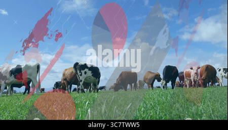 Weidende Herde von Milchkühen, die auf ländlicher Weide leben, mit lebendigem grünem Gras und weißen Wolken Stockfoto