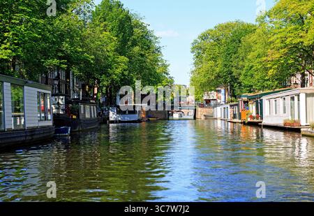 Eine Reihe von Hausbooten, die entlang eines Kanals in Amsterdam vertäut sind, sind dauerhafte Wohnhäuser Stockfoto