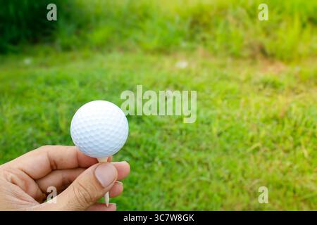 Set von Golf-Abschlägen und Golfbälle in der Handfläche, grüner Grashintergrund mit Sonnenlicht Stockfoto