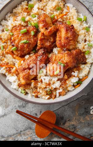 Tori Meshi traditioneller Hühnerreis, Japan Nahaufnahme in der Schüssel auf dem Tisch. Vertikale Draufsicht von oben Stockfoto