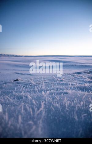 Eine Nahaufnahme von Raureif, die Grashalme auf einem riesigen verschneiten Feld mit einem klaren blauen Himmel in der Ferne bedeckt Stockfoto