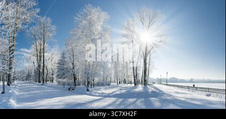 Herrliche Winterlandschaft mit Schnee bedeckt Bäume Stockfoto