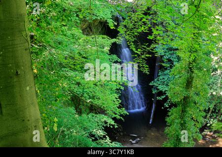 Der Falling Foss Wasserfall, May Beck, Sneaton Forest, North Yorkshire Moors National Park, England Stockfoto