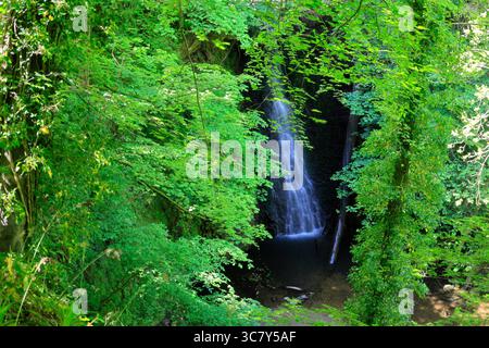 Der Falling Foss Wasserfall, May Beck, Sneaton Forest, North Yorkshire Moors National Park, England Stockfoto