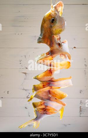 Rohe Fische, getrocknet auf einem Balkon vertikale Komposition Stockfoto