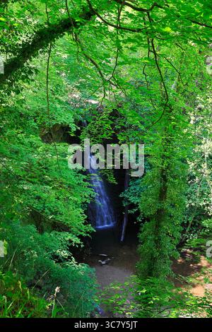 Der Falling Foss Wasserfall, May Beck, Sneaton Forest, North Yorkshire Moors National Park, England Stockfoto