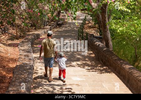 Vater und Sohn gehen Hand in Hand auf einem malerischen Steinweg, umgeben von üppigem Grün und blühenden rosa Blumen. Familienbeziehungen und Naturspaziergang. Stockfoto