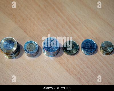 ungarisches Geld und vócredit-Karte Stockfoto