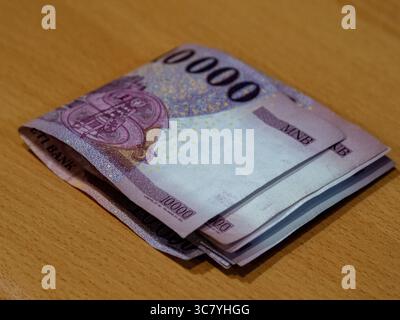 ungarisches Geld und vócredit-Karte Stockfoto