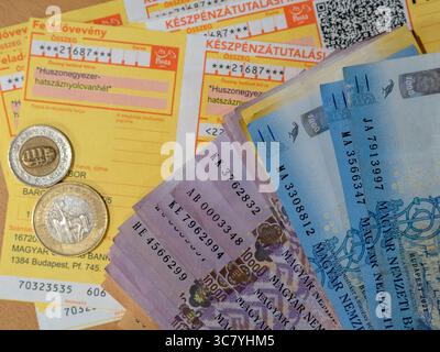 ungarisches Geld und vócredit-Karte Stockfoto