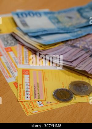 ungarisches Geld und vócredit-Karte Stockfoto