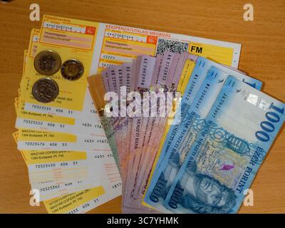ungarisches Geld und vócredit-Karte Stockfoto