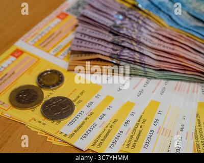 ungarisches Geld und vócredit-Karte Stockfoto