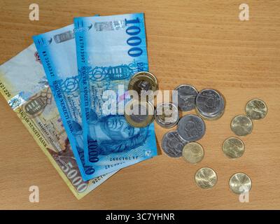 ungarisches Geld und vócredit-Karte Stockfoto