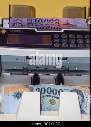 ungarisches Geld und vócredit-Karte Stockfoto