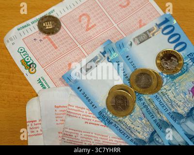 ungarisches Geld und vócredit-Karte Stockfoto