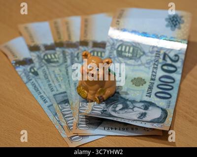 ungarisches Geld und vócredit-Karte Stockfoto