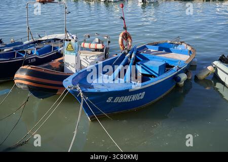 Farbenfrohe kleine Fischereifahrzeuge, die in ruhigen Gewässern des Yachthafens ankern, mit klassischen Holzrümpfen und maritimer Ausrüstung Stockfoto