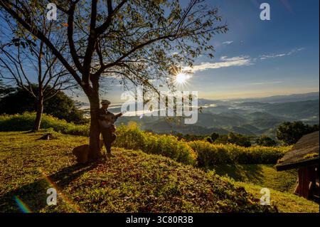 Reifer Mann in traditioneller thailändischer Kleidung, der sich an einen Baum in den Bergen lehnt und Gitarre spielt, Chiang Rai, Thailand Stockfoto