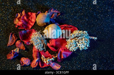 Stillleben mit dramatischem Licht Stockfoto