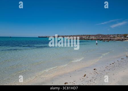 Rückansicht eines typischen Motorboots (bekannt als Pangas), das Besucher zur nahe gelegenen Isla Espírito Santo und Playa Balandra bringt. Stockfoto