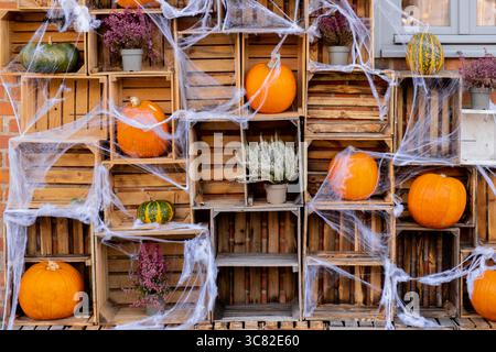 Herbst-Deko: 3D Holz-Kürbis-Block Mit Schriftzug & Schleife – Rustikaler Tischschmuck Für Zuhause