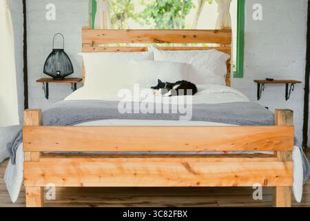 Die schwarz-weiße Katze liegt in einem rustikalen Zimmer mit Holz in einem gemütlichen Bett mit weißer Bettwäsche und einer grauen Decke Stockfoto