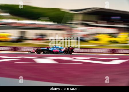 Budapest, Ungarn. August 2025. Der argentinische Fahrer des BWT Alpine F1 Teams Franco Colapinto während des Qualifying zum Großen Preis der Formel 1 von Ungarn 2025. (Foto: Luca Martini/SOPA Images/SIPA USA) Credit: SIPA USA/Alamy Live News Stockfoto