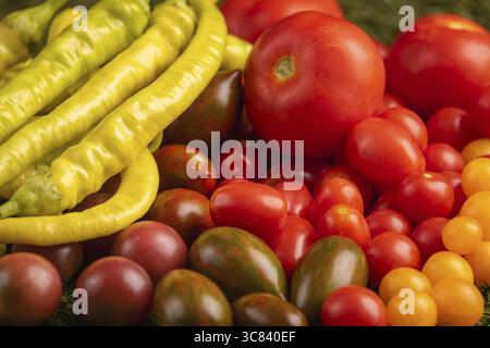 Bunte Mischung aus frischen Tomaten und Paprika auf Gras Stockfoto