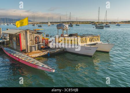 Morro Bay, Kalifornien, USA. Juli 2024. Lebhafte Yachthafenszene mit Booten, die bereit sind für Abenteuer in Morro Bay. Stockfoto