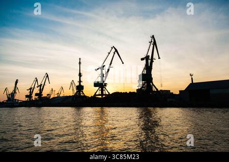 Silhouetten von Kranichen im Seehafen bei Sonnenuntergang. Stockfoto