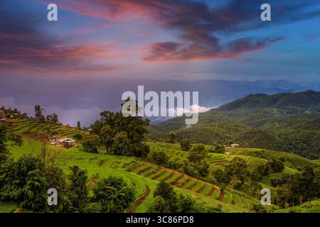 Reisterrassen in Reisfeldern am Berg in der Dämmerung. Stockfoto