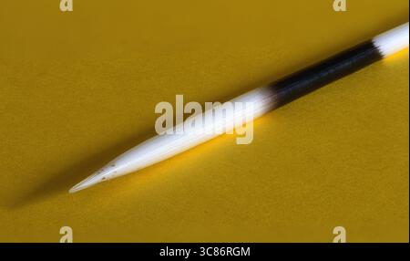 Nahaufnahme einer Feder aus einem Kap-Stachelschwein auf gelbem Hintergrund, der zur Verteidigung und zum Schutz verwendet wird Stockfoto